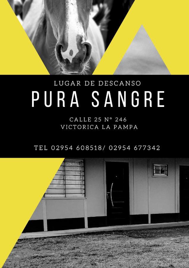 Pura Sangre Bed & Breakfast Victorica Екстериор снимка